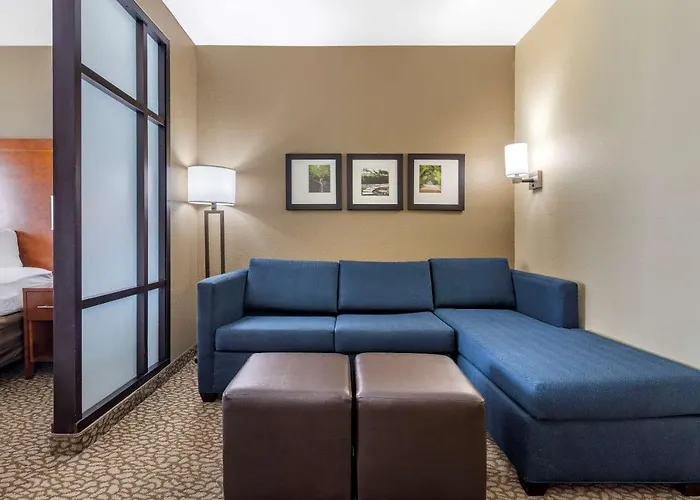 Comfort Suites Florence I-95