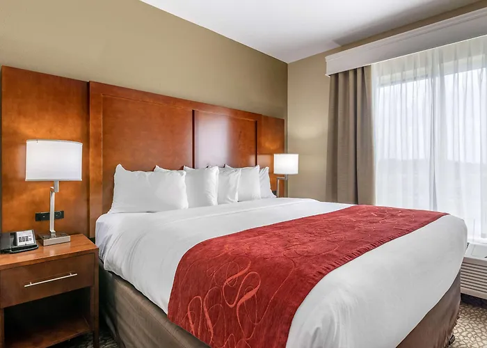 Comfort Suites Florence I-95