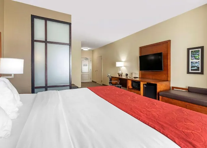 Comfort Suites Florence I-95